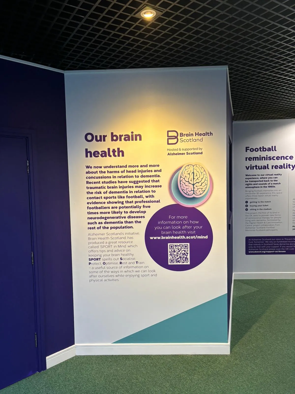 Brain health information display